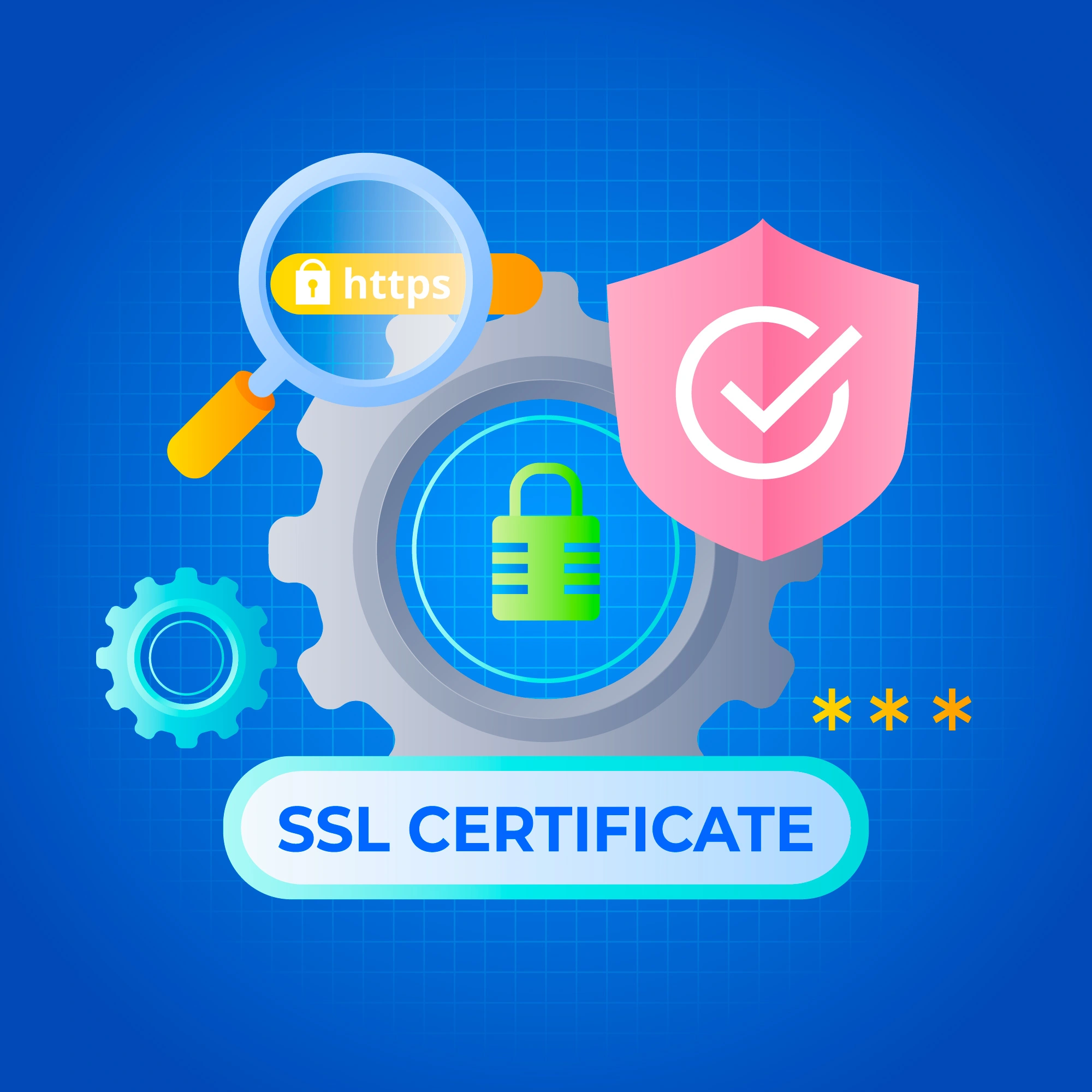 SSL Installation Service Provider Company In Vadodara