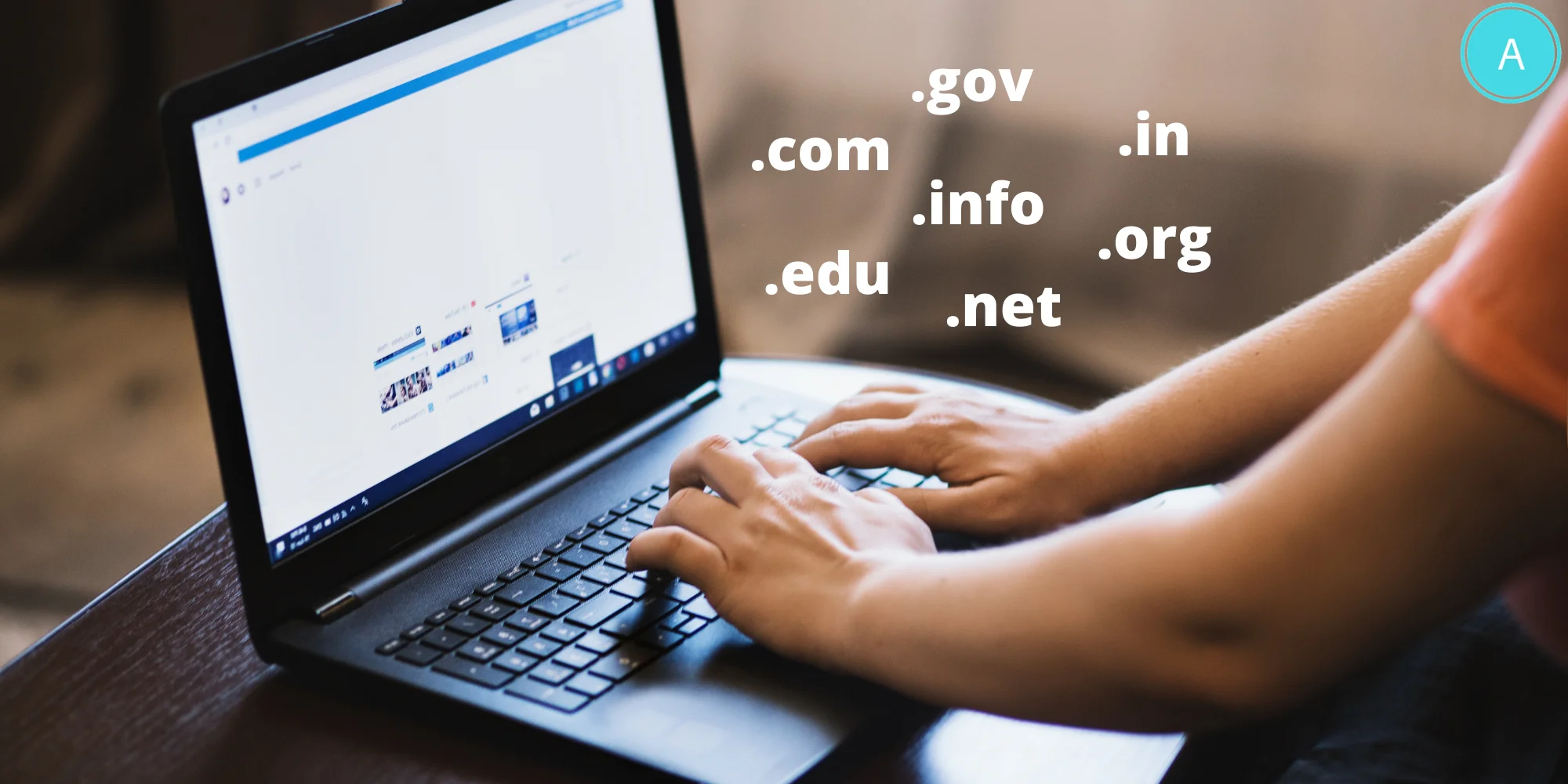 Domain Registration Service