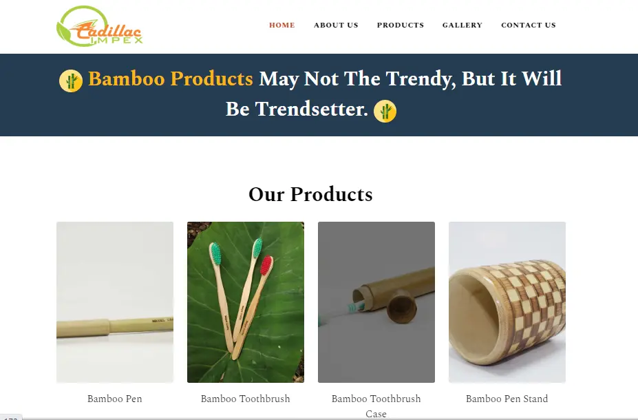 Personal Website Development Company